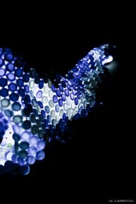 FOTORELACJA Z GDYNIA DESIGN DAYS 2012