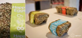 loDZ_DESIGN_FESTIVaL_2013_-_relacja_860_3